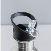 Water Bottle Always Be Stiger - silver